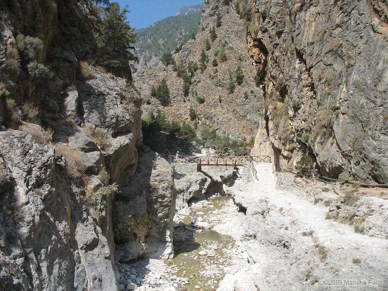IMG_2251 - Copy.jpg